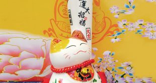 meo tay trai lon sw447 15