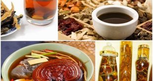 uong nam linh chi co tac dung gi 4